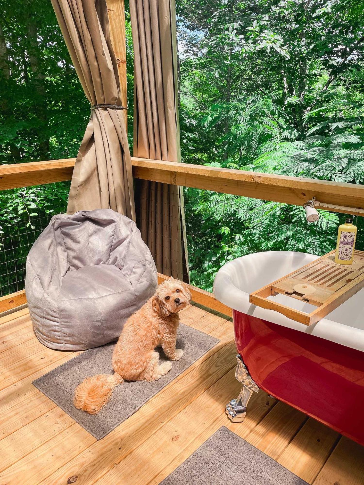 Outdoor Soaking Tub! Cozy Spot For Couples Getaway Villa Cosby Exterior photo